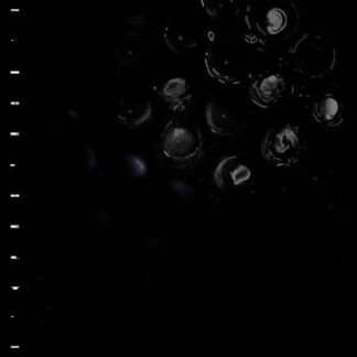 Crumb – Ice Melt LP Red Vinyl