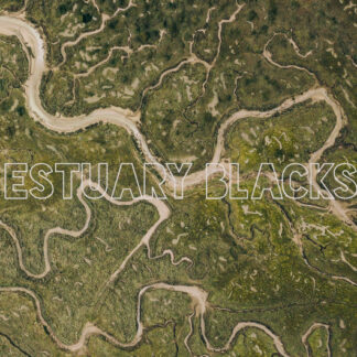 Estuary Blacks - Estuary Blacks CD