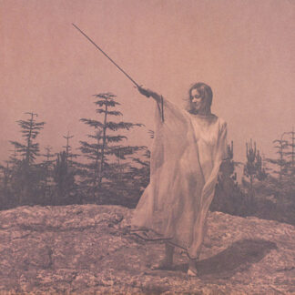 Unknown Mortal Orchestra ‎– II LP