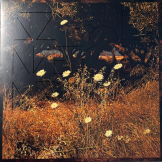 Szun Waves – Earth Patterns LP Red/Brown Smoke Vinyl