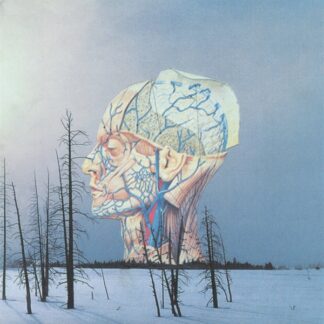 Low – Songs For A Dead Pilot LP