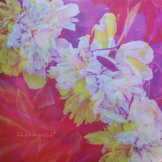 Flatwaves – Numbra LP Yellow Vinyl