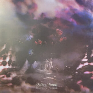 Temple Of Angels – Endless Pursuit LP Cloudy Clear Vinyl
