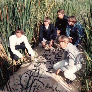 Children Of The Mushroom - Children Of The Mushroom LP