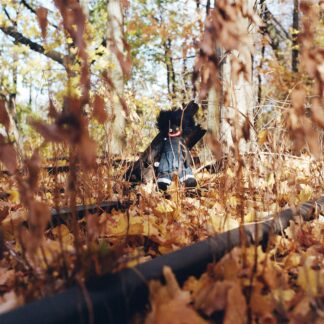 Billy Woods – Golliwog 2xLP