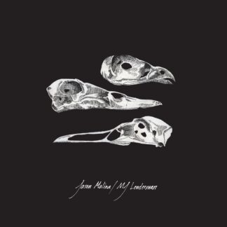 Jason Molina / MJ Lenderman - The Last 3 Human Words (Demo) / Just Be Simple (Songs: Ohia Cover) 7"