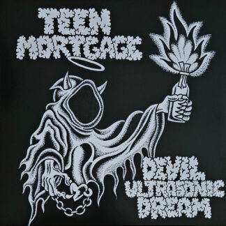 Teen Mortgage - Devil Ultrasonic Dream LP