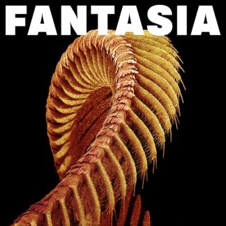 Slift - Fantasia 2xLP Starlight Vinyl Loser Edition